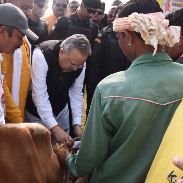 विधानसभा अध्यक्ष डॉ. रमन सिंह ने गौ संरक्षण के लिए मवेशियों के गले एवं सींग में लगाई रेडियम पट्टी…