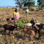 रायपुर : गरीबी को मात देकर आत्मनिर्भर बनी बुटकी…