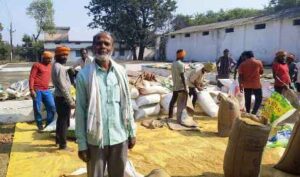 रायपुर : 3100 रुपये प्रति क्विंटल के समर्थन मूल्य पर धान खरीदी ने लौटाई किसानों की मुस्कान…