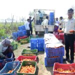 राजनांदगांव : सब्जियों की खेती से धान की तुलना में&hellip;