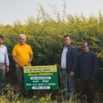 कृषक रत्न एनेश्वर वर्मा ने 7 एकड़ में किया अरहर बीज उत्पादन का सफल विस्तार…