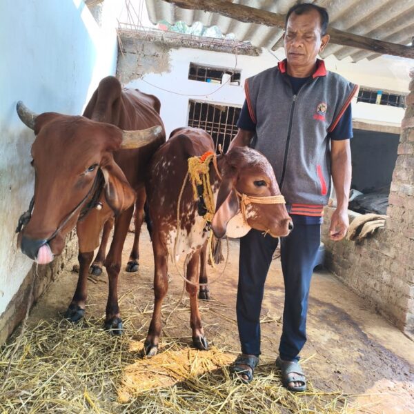 राष्ट्रीय कृत्रिम गर्भाधान कार्यक्रम से बदल गई हरीश चंद्र पैंकरा&hellip;