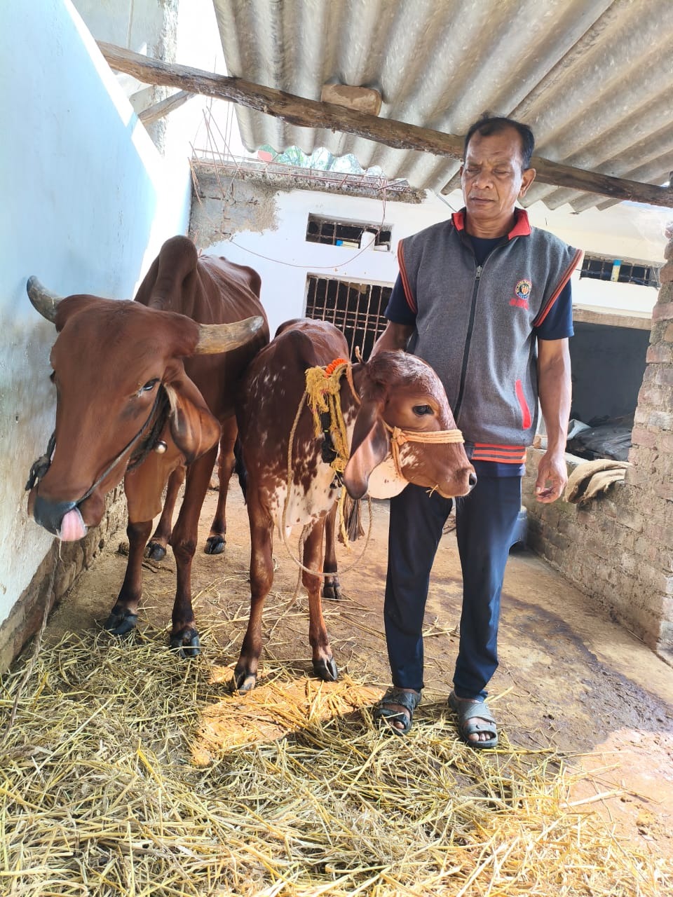 राष्ट्रीय कृत्रिम गर्भाधान कार्यक्रम से बदल गई हरीश चंद्र पैंकरा की जिंदगी…