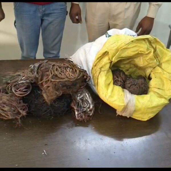 नाबालिको द्वारा चोरी किए गए केबल वायर को जलाकर कबाड़ी दुकानदार के पास किया बिक्री…