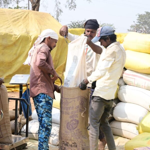 जिले में 11.94 लाख क्विंटल धान की खरीदी, किसानों को मिला 283 करोड़ रुपए का लाभ…