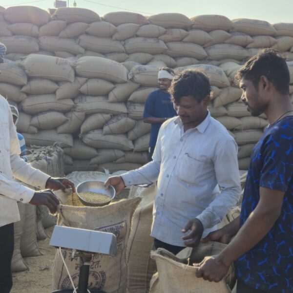 किसान अजय कुमार इस वर्ष धान बिक्री की राशि से अपने भतीजे की करेंगे शादी…