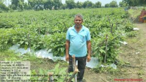 उन्नत उद्यानिकी तकनीक से बदली कृषक जीधन साहू की तक़दीर…