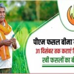 रायपुर : रबी फसलों के लिए फसल बीमा पोर्टल चालू, अंतिम तिथि 31 दिसंबर 2025…