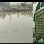 रायपुर : डबरी निर्माण से बदली किसान कुंवर सिंह की किस्मत…