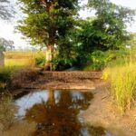 रायपुर : बहते पानी को सहेजने से बदली किसानों की दशा…