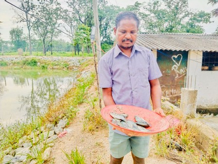 रायपुर : डबरी बनी खुशहाली की राह : किसान हिरमाराम की आमदनी हुई दोगुनी, सालाना बढ़ी एक लाख रुपये तक…