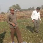 रायपुर : धान से हटकर समृद्धि की राह: जेवरा के किसान दिलीप सिन्हा ने दलहन-तिलहन से कमाए 25 लाख रुपये…