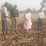 रायपुर : बैंकिंग से खेतों तक: जल संकट में फसल विविधीकरण की नई राह दिखा रहे विवेक धर दीवान…