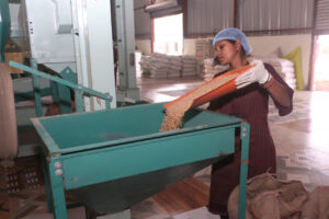 रायपुर : विशेष लेख : सशक्त मानसिकता से आत्मनिर्भरता की ओर- पोषण निर्माण में अहम भूमिका निभा रही हैं सूरजपुर की महिलाएं…