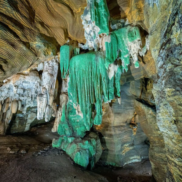 कांगेर घाटी में मिली अनोखी ‘ग्रीन गुफा’…