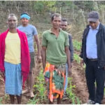 रायपुर : मटर की खेती से मिली नई दिशा…