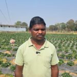 रायपुर : उद्यानिकी खेती से बदली किसान की आर्थिक तस्वीर…