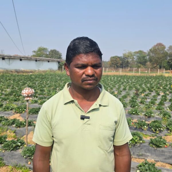 रायपुर : उद्यानिकी खेती से बदली किसान की आर्थिक तस्वीर…