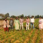 खेतों में उतरकर कलेक्टर  तुलिका प्रजापति ने किसानों से की सीधा संवाद, रबी फसलों का लिया जायजा…