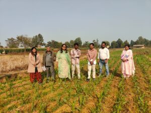 खेतों में उतरकर कलेक्टर तुलिका प्रजापति ने किसानों से की सीधा संवाद, रबी फसलों का लिया जायजा…