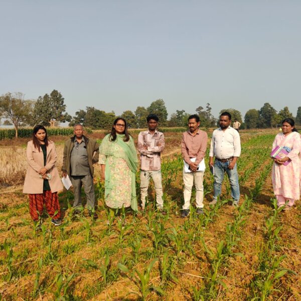 खेतों में उतरकर कलेक्टर तुलिका प्रजापति ने किसानों से की सीधा संवाद, रबी फसलों का लिया जायजा…