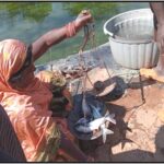 रायपुर : मछली पालन से बदली जिंदगी: लिखमनिया बाई को&hellip;