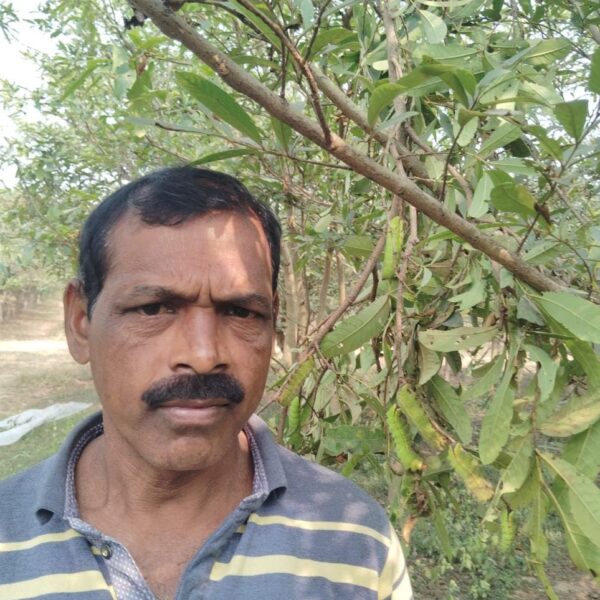 रायपुर : टसर कृमिपालन ने बदली तकदीर : ध्रुवकुमार बने आत्मनिर्भर, पलायन से मिली मुक्ति…