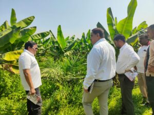 रायपुर : खाद्य तेल में आत्मनिर्भरता की ओर छत्तीसगढ़ : राज्य में 10,796 हेक्टेयर क्षेत्रों में ऑयल पाम की खेती…