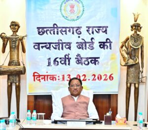 रायपुर : वन्यजीवों के प्राकृतिक आवास की सुरक्षा और सह-अस्तित्व के सिद्धांतों के अनुरूप हो सभी गतिविधियों का संचालन : मुख्यमंत्री श्री साय…