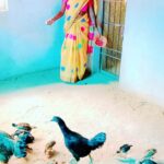 रायपुर : स्व-सहायता समूह से जुड़कर लखपति दीदी बनी कांतिबाई…