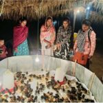 रायपुर : मुर्गीपालन से बदली श्रीमती अनुसुइया नेताम की जिंदगी…