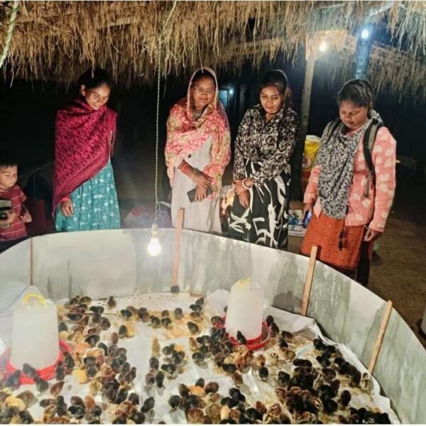 रायपुर : मुर्गीपालन से बदली श्रीमती अनुसुइया नेताम की जिंदगी…