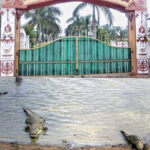 रायपुर : मगरमच्छ संरक्षण से बदली कोटमीसोनार की तस्वीर…