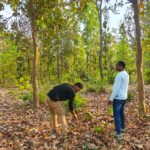 रायपुर : बाघ गणना का कार्य सफलतापूर्वक संपन्न…