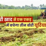 रायपुर : विशेष लेख : हरी खाद- खेती में बढ़ेगा उत्पादन, मिट्टी की सेहत होगी बेहतर…