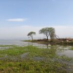 रायपुर : कोपरा जलाशय- स्थानीय समुदाय और महिला समूहों के&hellip;