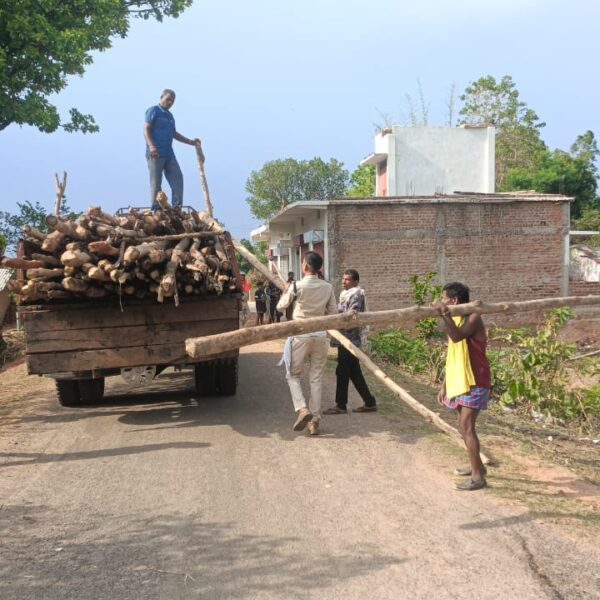 रायपुर : गौरेला क्षेत्र में सागौन की अवैध कटाई पर वन विभाग की बड़ी कार्रवाई…