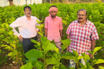 धमतरी : सिल्क समग्र-2 योजना से धमतरी के ग्रामीणों को मिल रहा आत्मनिर्भरता का नया आधार