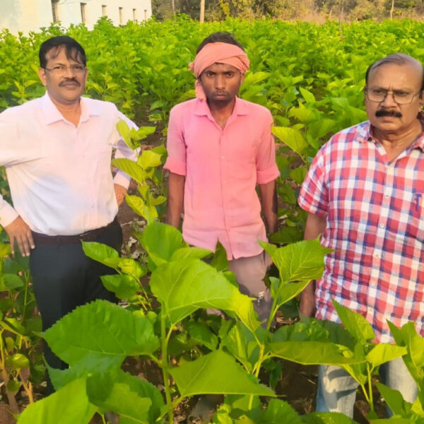 धमतरी : सिल्क समग्र-2 योजना से धमतरी के ग्रामीणों को मिल रहा आत्मनिर्भरता का नया आधार