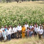 रायपुर : राजनांदगांव का ग्राम घुपसाल बना मिसाल- कम पानी&hellip;