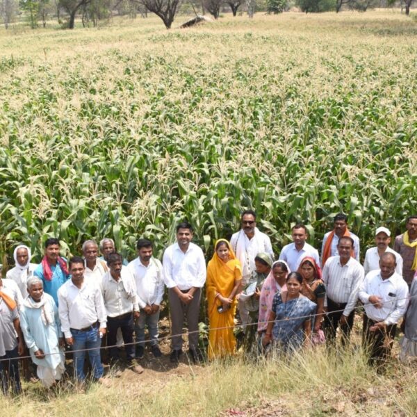 रायपुर : राजनांदगांव का ग्राम घुपसाल बना मिसाल- कम पानी वाली फसलों से बढ़ा भू-जल स्तर, संकट से मिली मुक्ति …