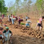 रायपुर : महात्मा गांधी नरेगा अंतर्गत 2588 निर्माण कार्यों से ग्रामीणों को मिल रहा रोजगार…